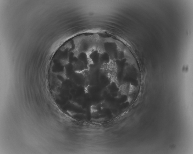 X0000114190337200910231326