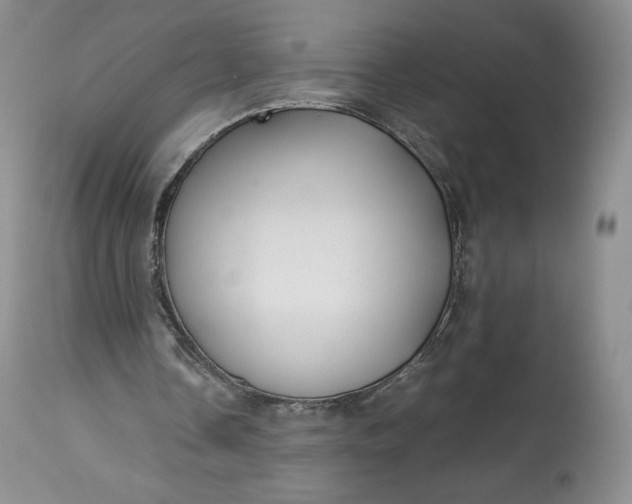 X0000114190338200910231326