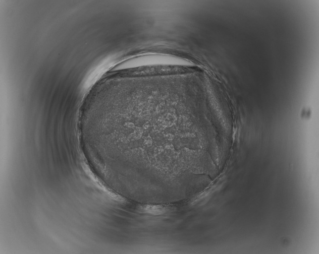 X0000114190341200910231326