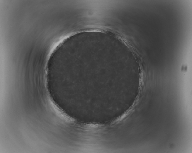 X0000114190342200910231326