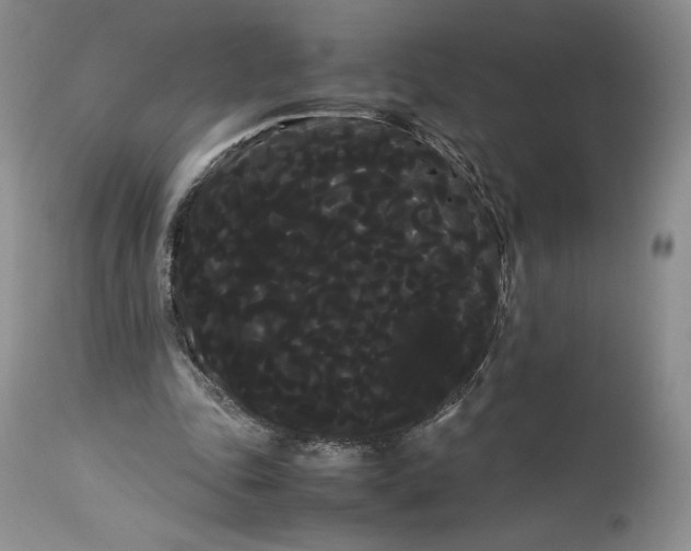 X0000114190343200910231326