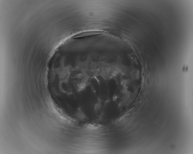 X0000114190346200910231326
