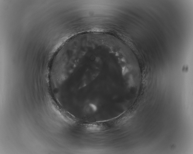 X0000114190347200910231326
