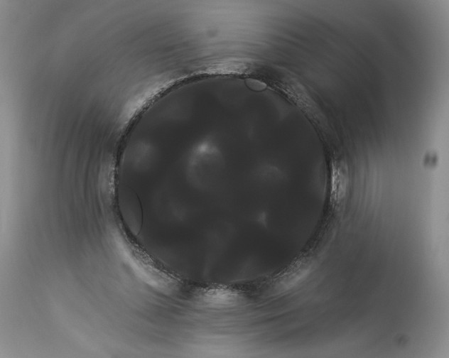 X0000114190348200910231326