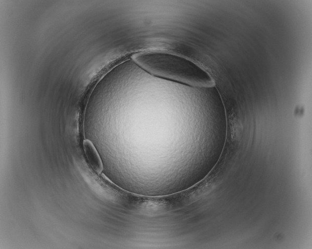 X0000114190350200910231326