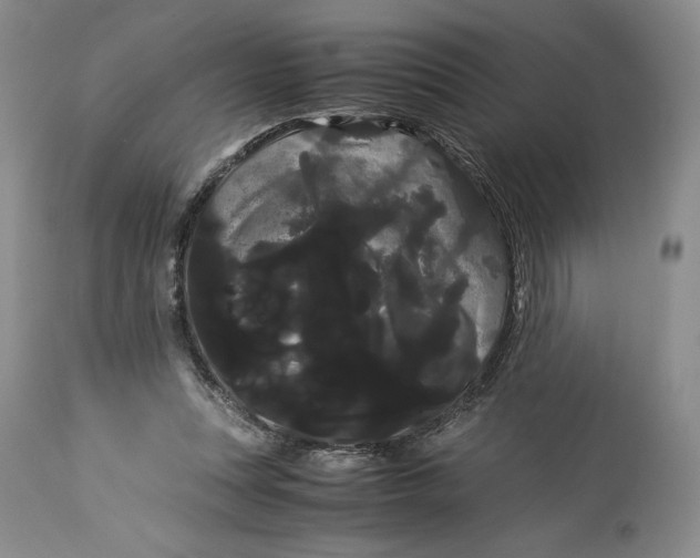 X0000114190351200910231326