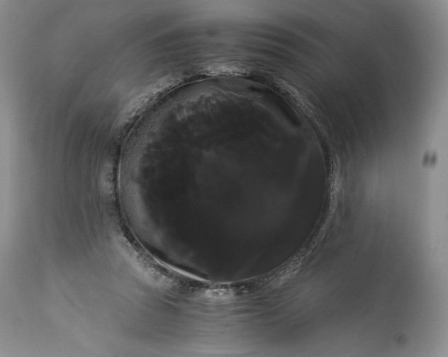 X0000114190353200910231326