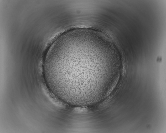 X0000114190354200910231326