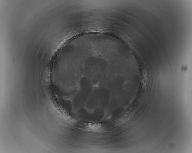 X0000114190355200910231326