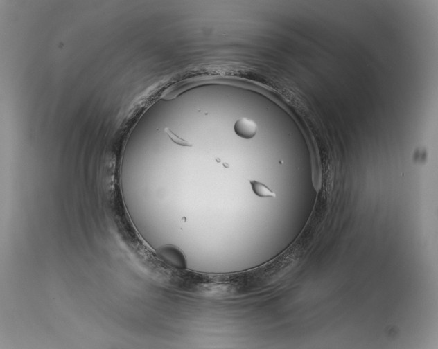 X0000114190356200910231326