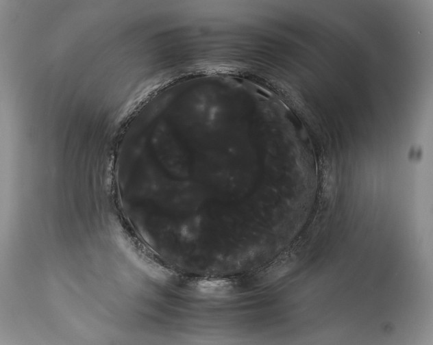 X0000114190357200910231326