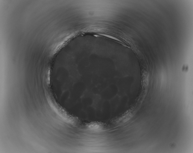 X0000114190358200910231326