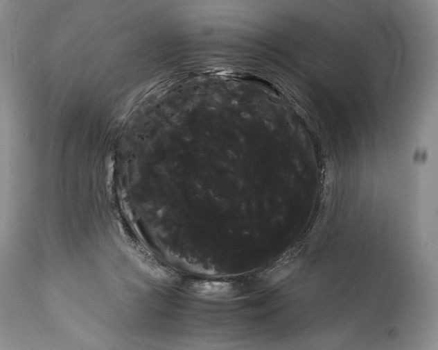 X0000114190361200910231326