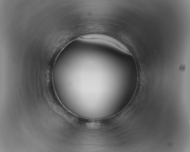 X0000114190362200910231326