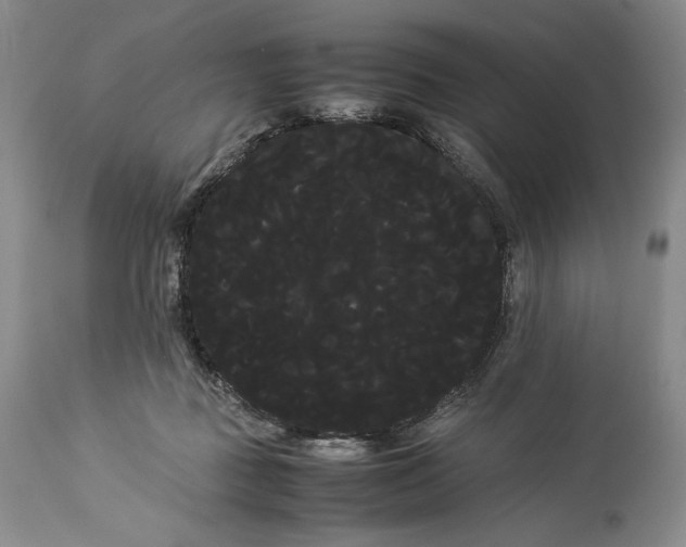 X0000114190363200910231326