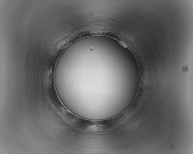 X0000114190364200910231326