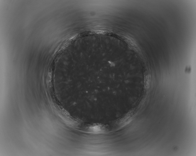 X0000114190365200910231326