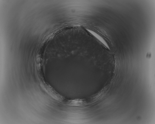 X0000114190366200910231326