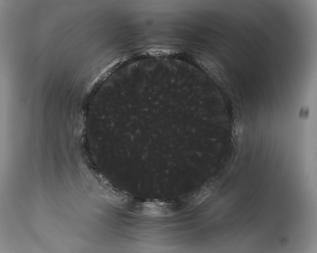 X0000114190367200910231326