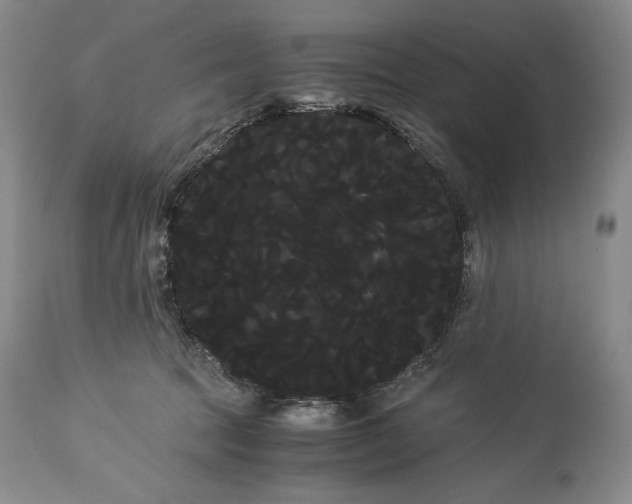 X0000114190369200910231326