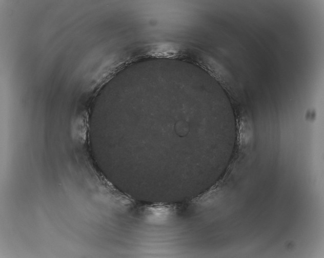 X0000114190370200910231326