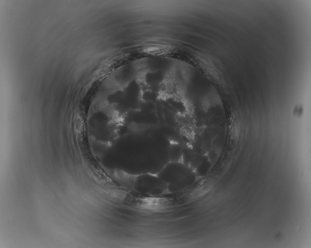 X0000114190371200910231326