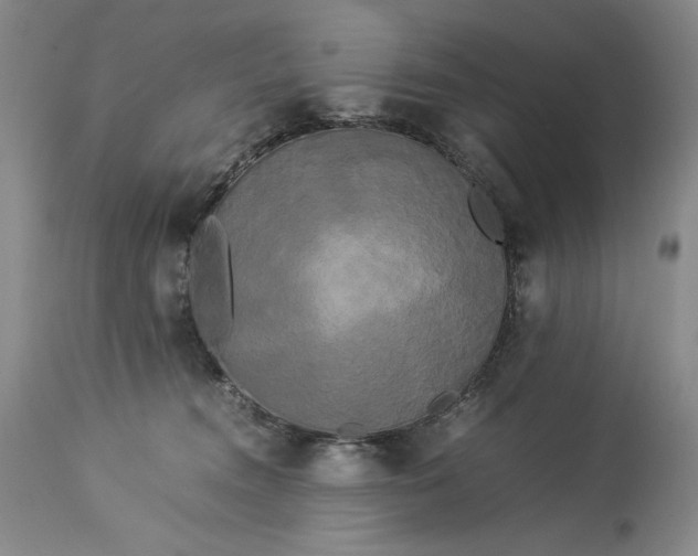X0000114190372200910231326