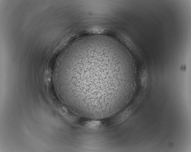 X0000114190374200910231326