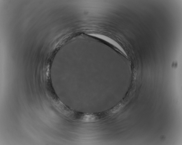 X0000114190376200910231326