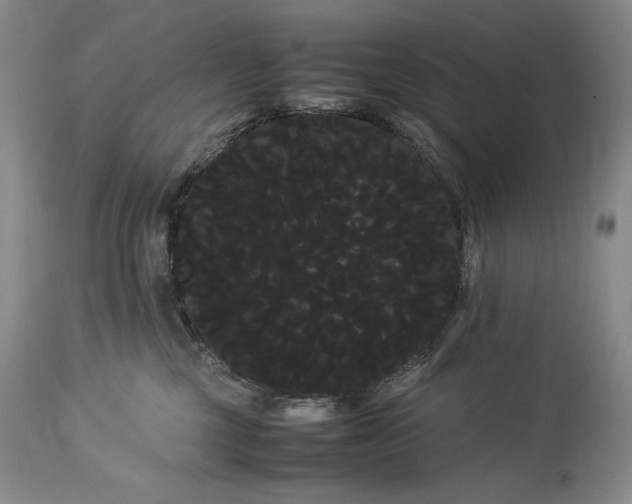 X0000114190377200910231326