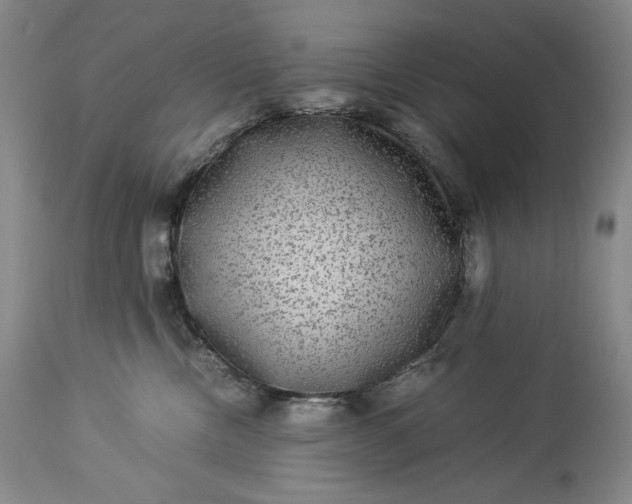 X0000114190378200910231326