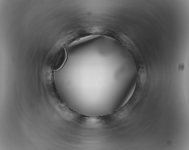 X0000114190380200910231326