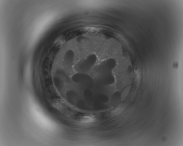 X0000114190381200910231326