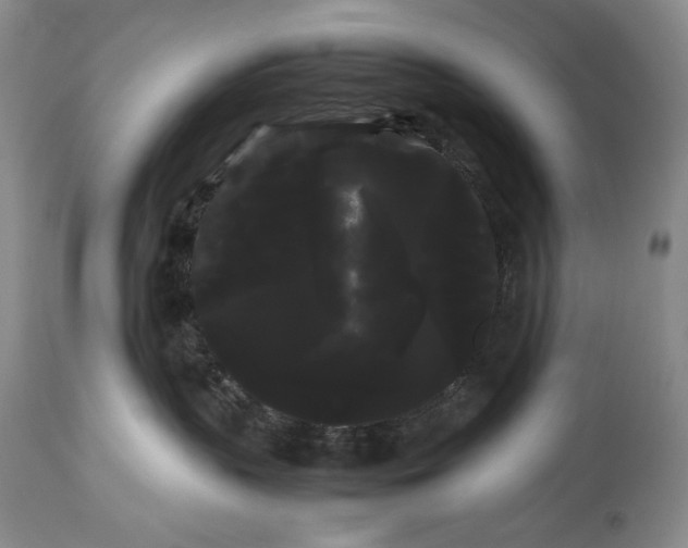 X0000114190383200910231326