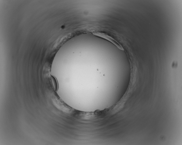 X0000114190384200910231326