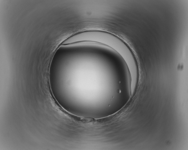 X0000114190385200910231326
