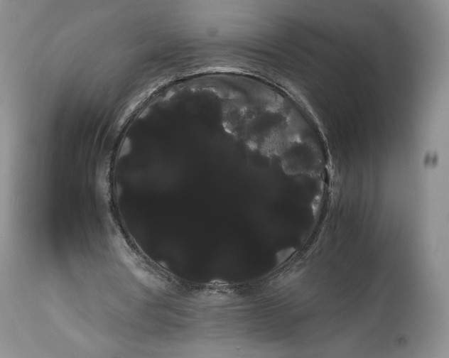 X0000114190386200910231326