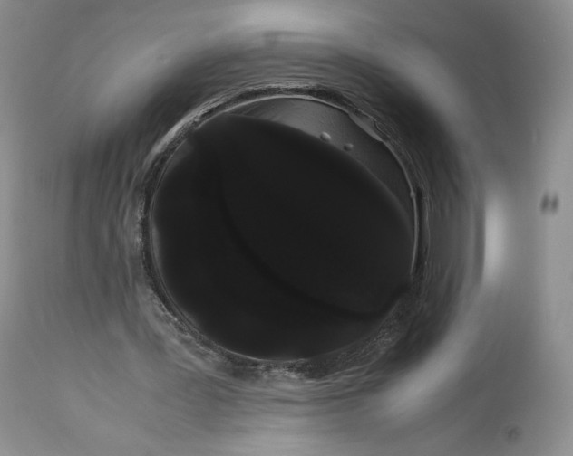 X0000114190387200910231326