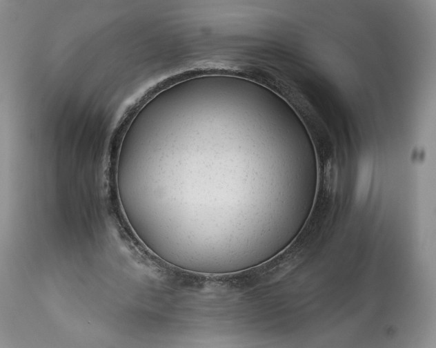 X0000114190388200910231326