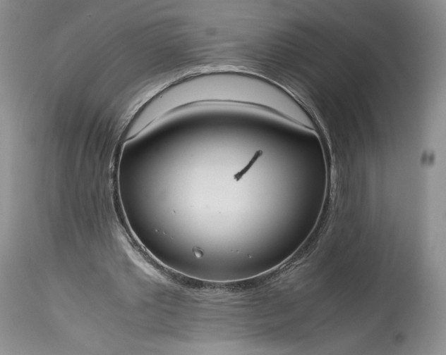 X0000114190389200910231326