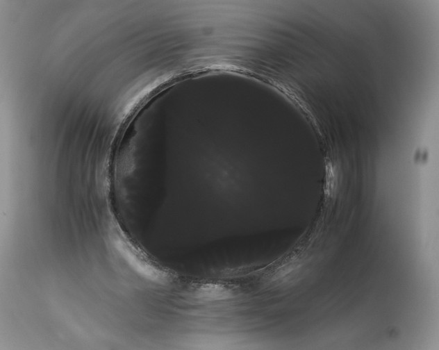X0000114190390200910231326