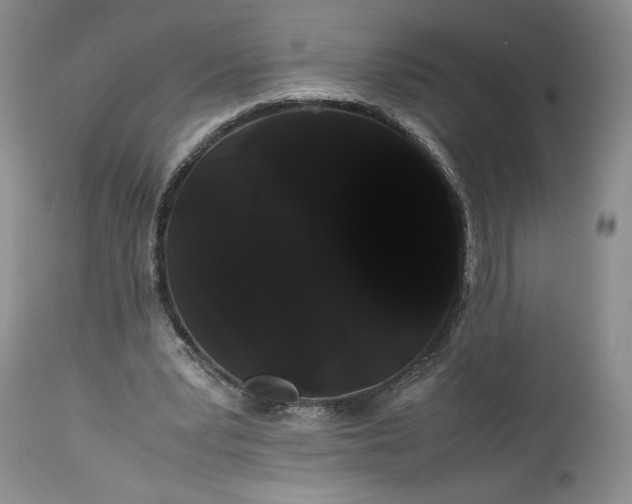 X0000114190391200910231325