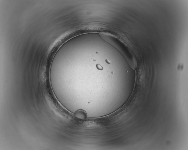 X0000114190392200910231325