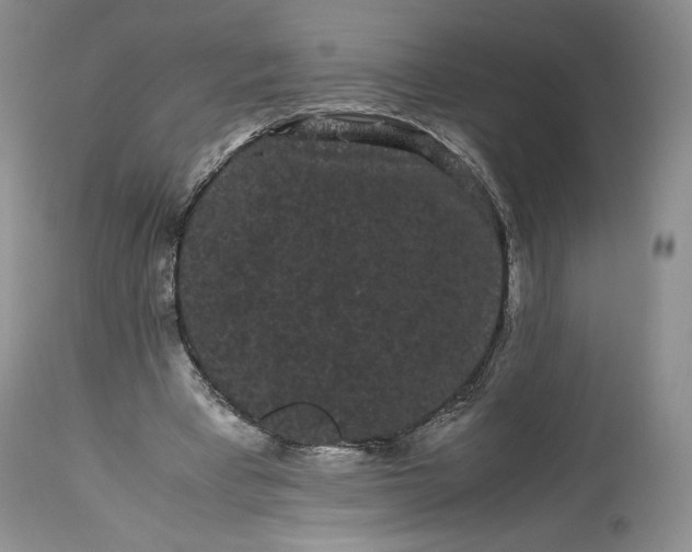 X0000114190393200910231325