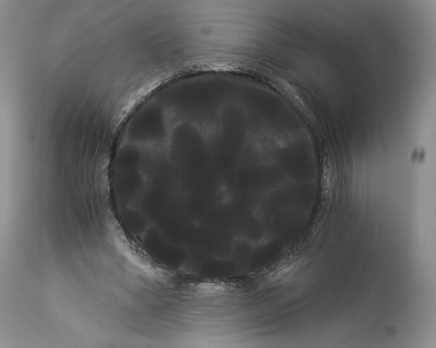 X0000114190394200910231325