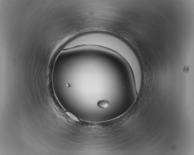 X0000114190395200910231325