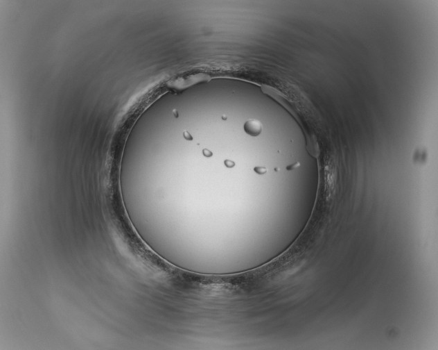 X0000114190396200910231325