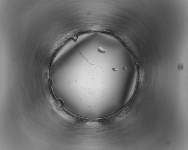 X0000114190397200910231325
