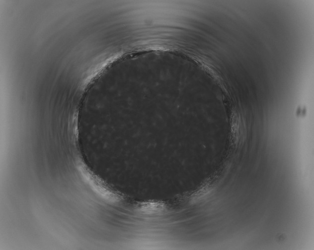 X0000114190398200910231325