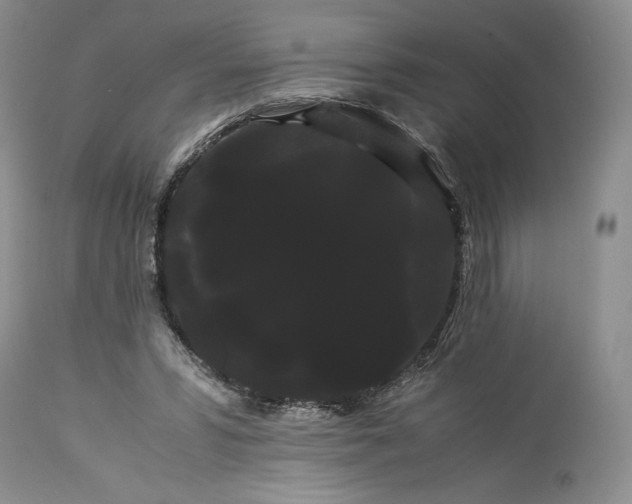 X0000114190399200910231325